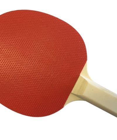 Play for Fun Pimple out Bat (Complete with Rubbers)