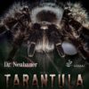 Dr Neubauer Tarantula  - Anti Spin