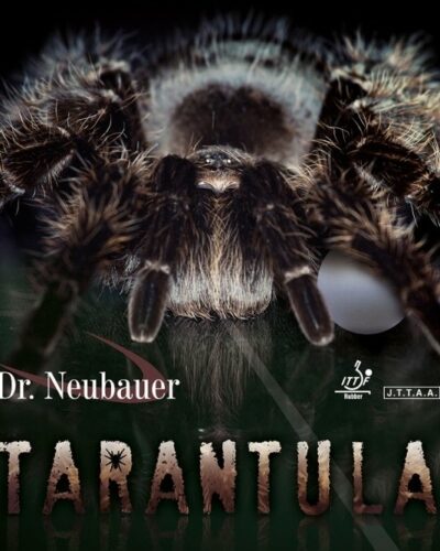 Dr Neubauer Tarantula  - Anti Spin