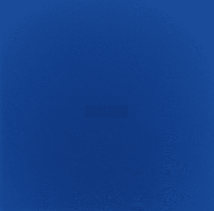 729 ZHL Blue Sponge