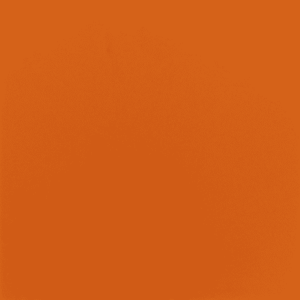 729 ZHO Orange Sponge