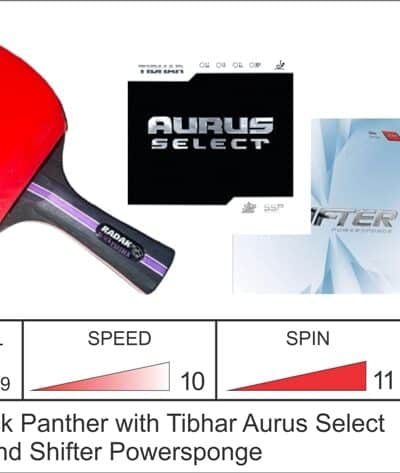 RADAK Black Panther Plus Tibhar Aurus Select and Shifter Powersponge
